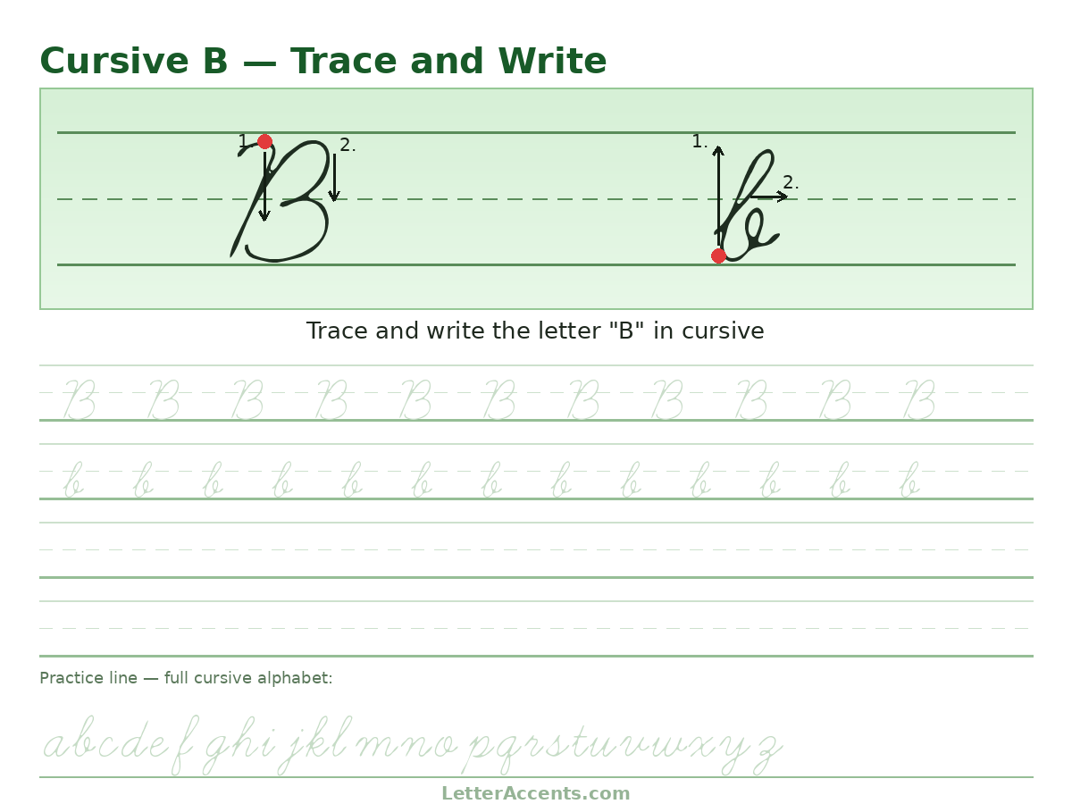 Cursive B worksheet, uppercase and lowercase B with stroke order, start dots and practice lines