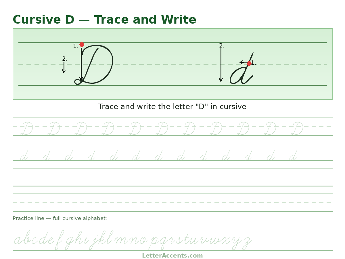 Cursive D worksheet, uppercase and lowercase D with stroke order, start dots and practice lines