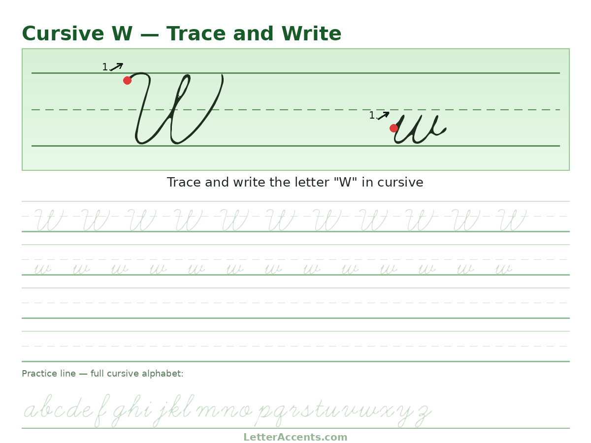 Cursive W worksheet, uppercase and lowercase W with stroke order, start dots and practice lines